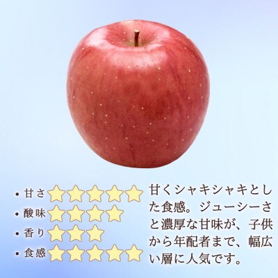 【信州長野県産】※2025年先行受付※ サンふじりんご6玉 ギフトボックス