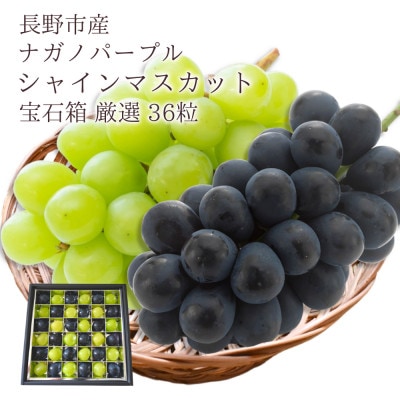 【信州長野県産】※2025年先行受付※　ナガノパープル&シャインマスカットの宝石箱　厳選36粒