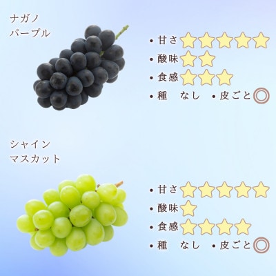 【信州長野県産】※2025年先行受付※　ナガノパープル&シャインマスカットの宝石箱　厳選36粒