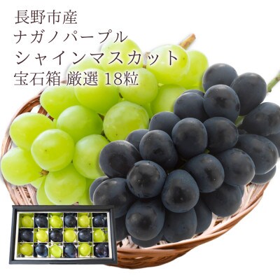 【信州長野県産】※2025年先行受付※　ナガノパープル&シャインマスカットの宝石箱　厳選18粒