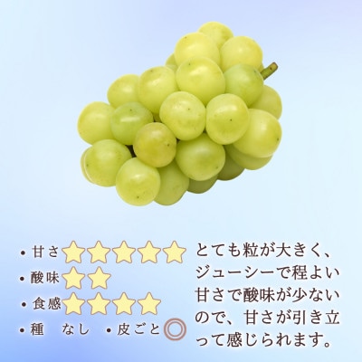 【信州長野県産ぶどう】※2025年先行受付※ 雄宝1.0～1.2kg 9月より発送開始