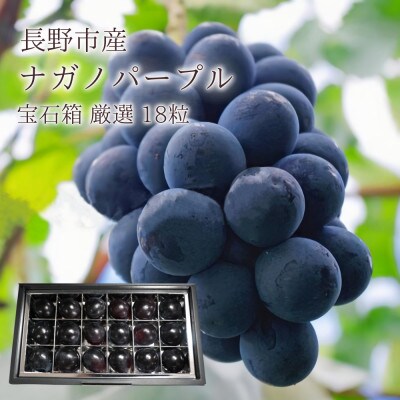 【信州長野県産】※2025年先行受付※　ナガノパープルの宝石箱　厳選18粒　8月より発送開始
