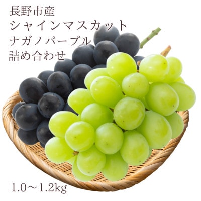 【信州長野県産】※2025年先行受付※　ナガノパープル&シャインマスカット(各1房)9月より発送開始