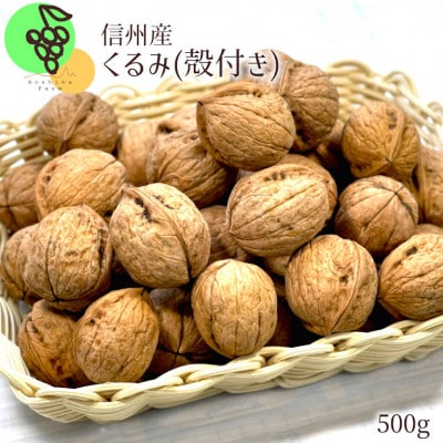 信州長野県産 23年先行受付 くるみ 殻付き 500g 11月より順次発送 お礼品詳細 ふるさと納税なら さとふる