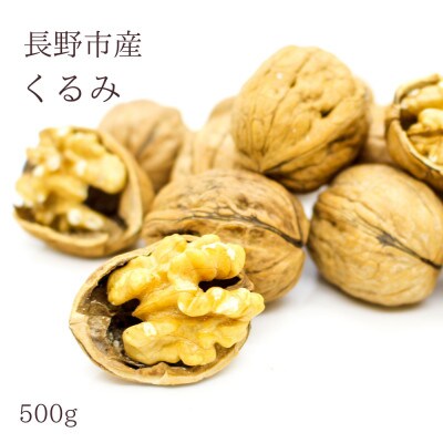 【信州長野県産】※2025年先行受付※　くるみ(殻付き)500g　10月下旬より発送開始