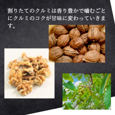 【信州長野県産】※2025年先行受付※　くるみ(殻付き)500g　10月下旬より発送開始