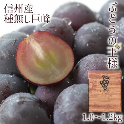 【2023年先行受付】〈信州長野市産〉種無し巨峰　1kg～1.2kg　ギフトボックス