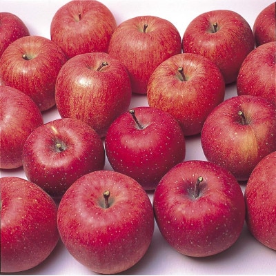 サンふじ りんご 家庭用 訳あり 5kg