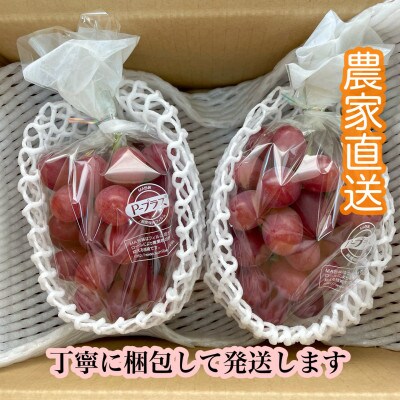 【9月下旬より順次発送】信州産クイーンルージュ(R) 2～3房(合計1kg以上)