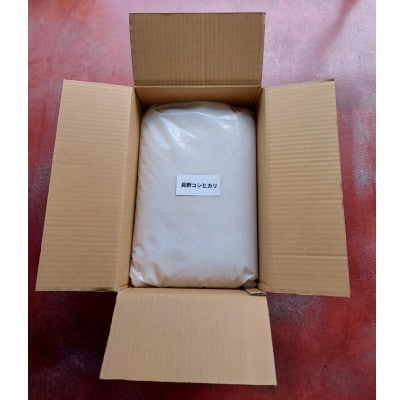 コシヒカリ　精米　10kg