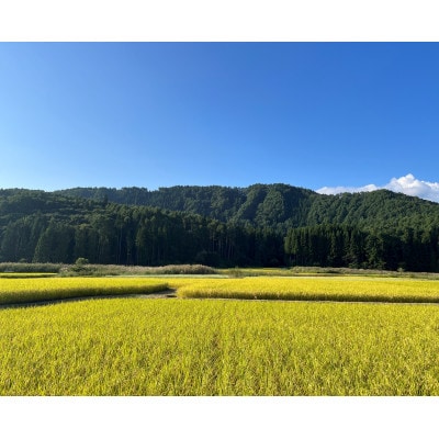 令和4年産　信州長野市芋井産あきたこまち　精米5kg