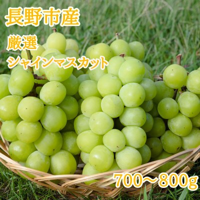 ※2025年先行受付※ 厳選シャインマスカット700～800g【長野県産】