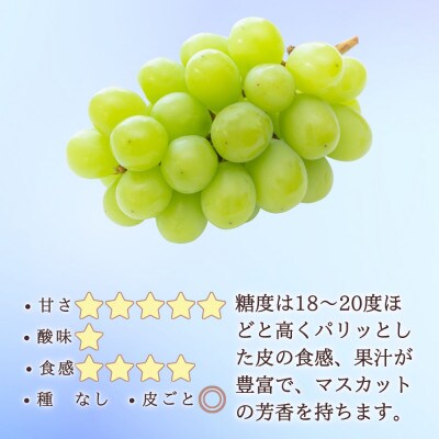 ※2025年先行受付※ 厳選シャインマスカット700～800g【長野県産】