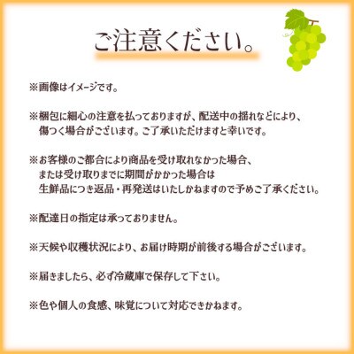 ※2025年先行受付※ 厳選シャインマスカット700～800g【長野県産】