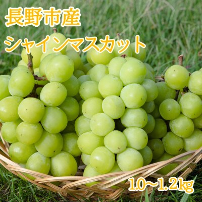 ※2025年先行受付※ シャインマスカット1.0～1.2kg【長野県産】