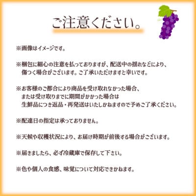 ※2025年先行受付※ ナガノパープル1.0～1.2kg【長野県産】