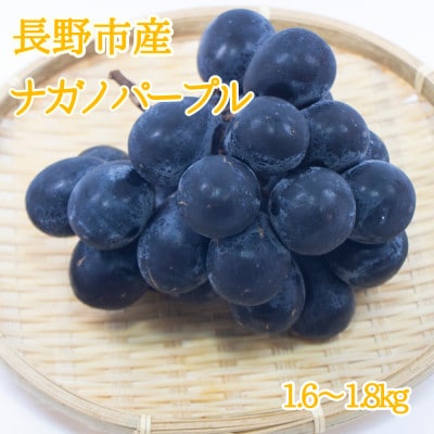 ※2025年先行受付※ ナガノパープル1.6～1.8kg【長野県産】