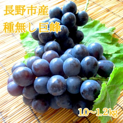 ※2025年先行受付※ 種無し巨峰1.0～1.2kg【長野県産】