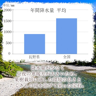 ※2025年先行受付※ シナノゴールド6玉【長野県産】