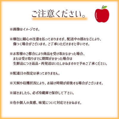 ※2025年先行受付※ サンふじりんご6玉【長野県産】