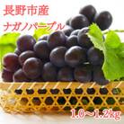 【2025年先行受付】極上ナガノパープル1.0～1.2kg