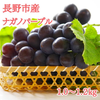 【2025年先行受付】極上ナガノパープル1.0～1.2kg