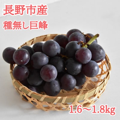 【2025年先行受付】極上　種無し巨峰1.6～1.8kg