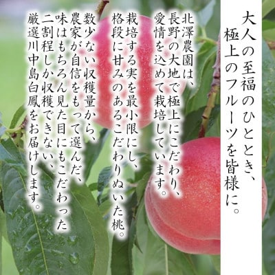 極上　川中島白桃、川中島白鳳セット(6玉 各3玉)