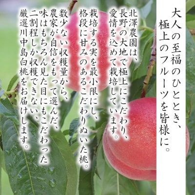極上　川中島白桃、川中島白鳳セット(6玉 各3玉)