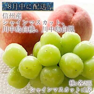 【2023年8月上旬より順次発送】信州産　厳選フルーツ盛り合わせ