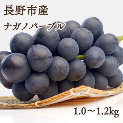 ※2025年先行受付※ 【信州長野県産】ナガノパープル1.0～1.2kg
