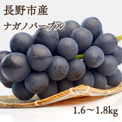※2025年先行受付※ 【信州長野県産】ナガノパープル1.6～1.8kg