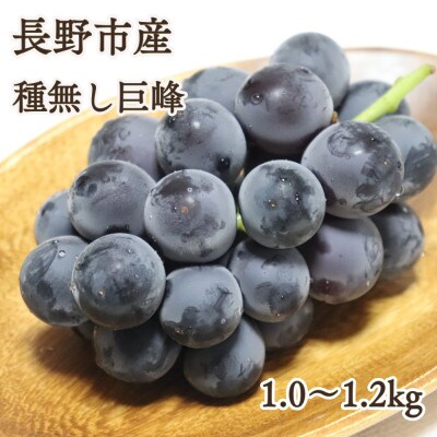 ※2025年先行受付※【信州長野県産】種無し巨峰1.0～1.2kg