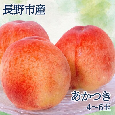 ※2025年先行受付※【長野市産】 あかつき4～6玉
