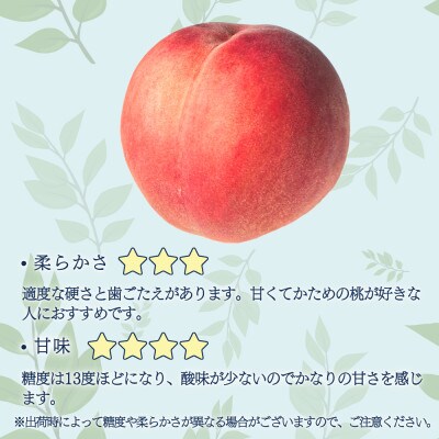 ※2025年先行受付※ 【長野市産】なつっこ4～6玉