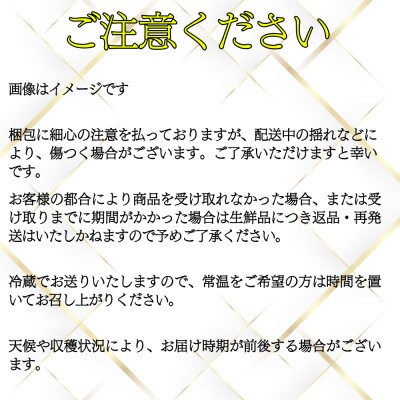 ※2025年先行受付※【長野市川中島産】川中島白桃4～6玉 ギフトボックス