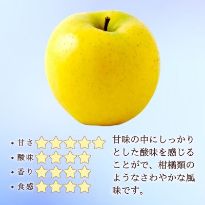 ※2025年先行受付※【信州長野県産】シナノゴールド&シナノスイート各3玉