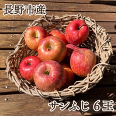 ※2025年先行受付※【信州長野県産】サンふじりんご6玉