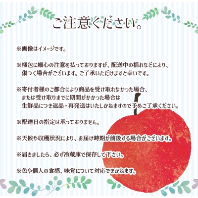 ※2025年先行受付※【信州長野県産】サンふじりんご6玉