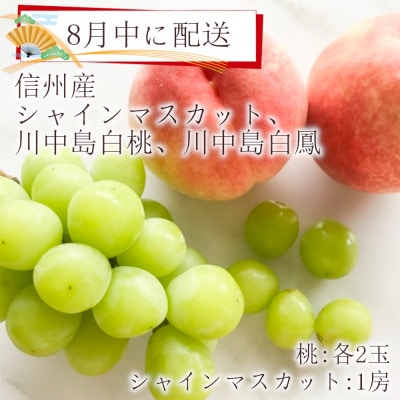【2023年8月中に発送】シャインマスカット(1房)、川中島白桃、川中島白鳳(各2玉)
