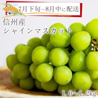 ※2024年先行受付※【信州長野県産】7月～8月発送　シャインマスカット2房