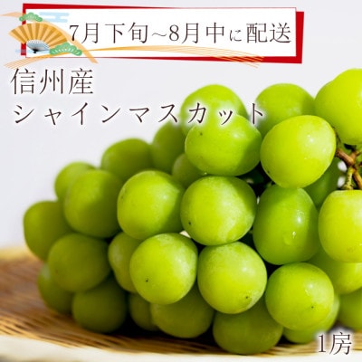 ※2024年先行受付※【信州長野県産】7月～8月発送　シャインマスカット1房