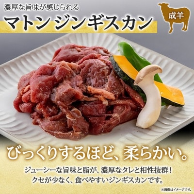 長野県 信州新町 不動温泉 さぎり荘 謹製 マトン ジンギスカン 250g×2袋 計500g