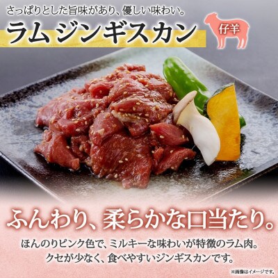 長野県 信州新町 不動温泉 さぎり荘 謹製 ラム ジンギスカン 250g×2袋 計500g