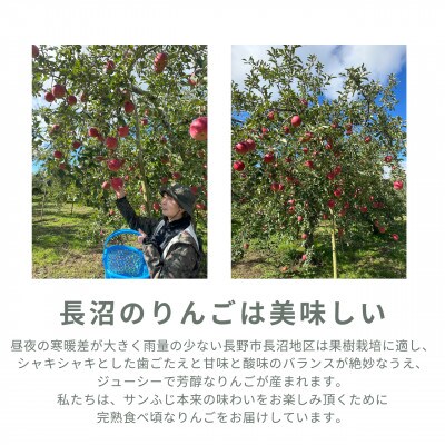 信州りんご発祥の地・長沼りんご サンふじ(ご家庭用) & りんごジュース & りんごジャムセットM