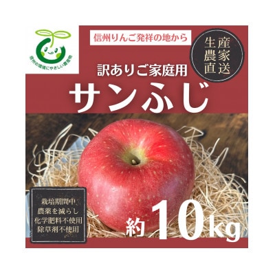生産者直送 2026年産 長沼りんご サンふじ(ご家庭用)10kg 栽培期間中化学肥料・除草剤不使用