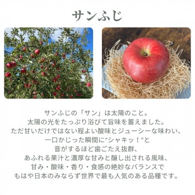 生産者直送 2026年産 長沼りんご サンふじ(ご家庭用)10kg 栽培期間中化学肥料・除草剤不使用