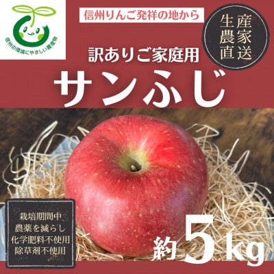 生産農家直送 環境にやさしい長沼りんご サンふじ(ご家庭用)5kg 栽培期間中化学肥料・除草剤不使用
