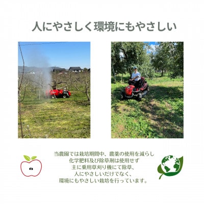 生産農家直送 長沼りんご サンふじ(ご家庭用)5kg 栽培期間中化学肥料・除草剤不使用