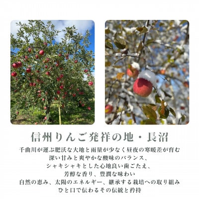 生産農家直送 環境にやさしい長沼りんご サンふじ(ご家庭用)5kg 栽培期間中化学肥料・除草剤不使用